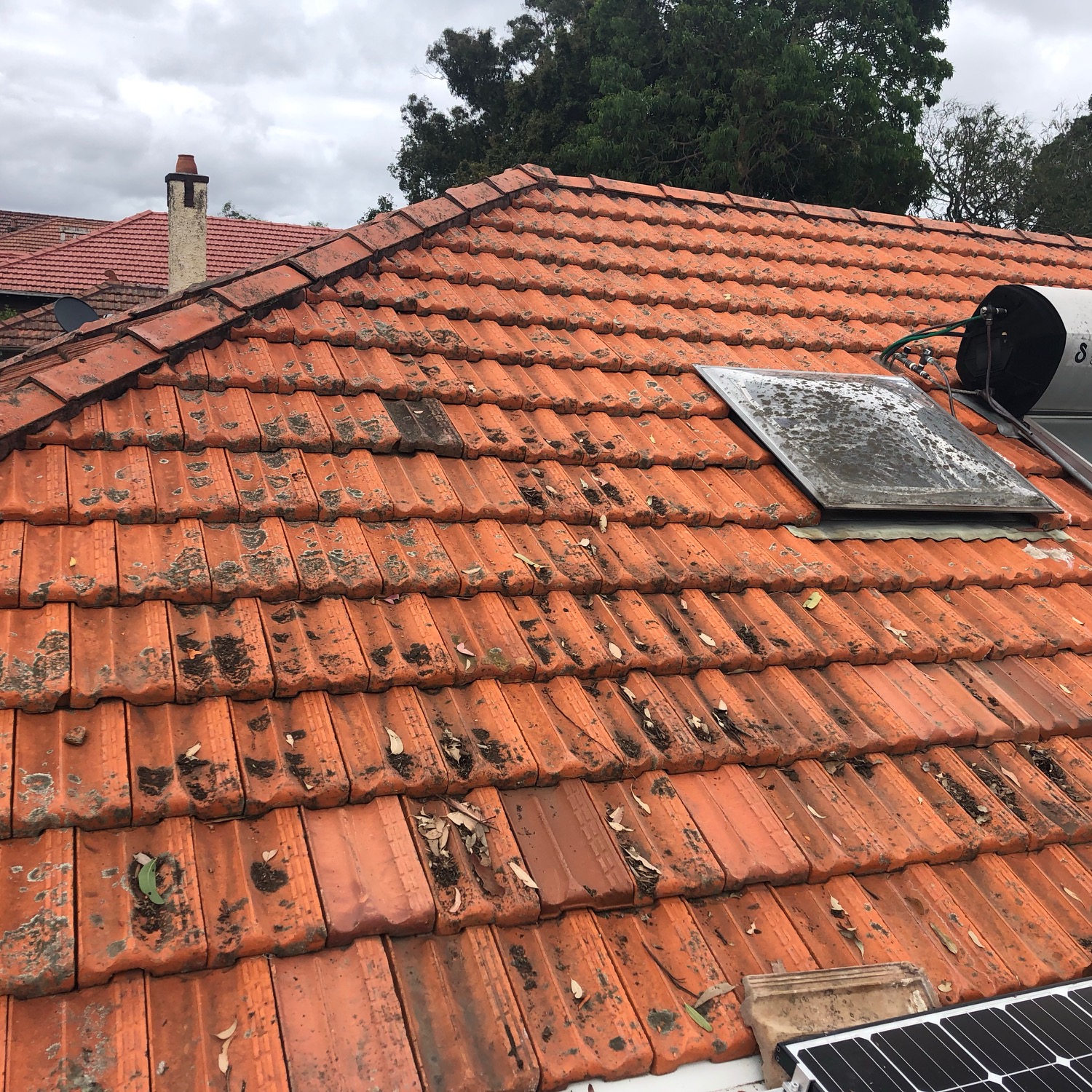 Solar Installation in Gladesville
