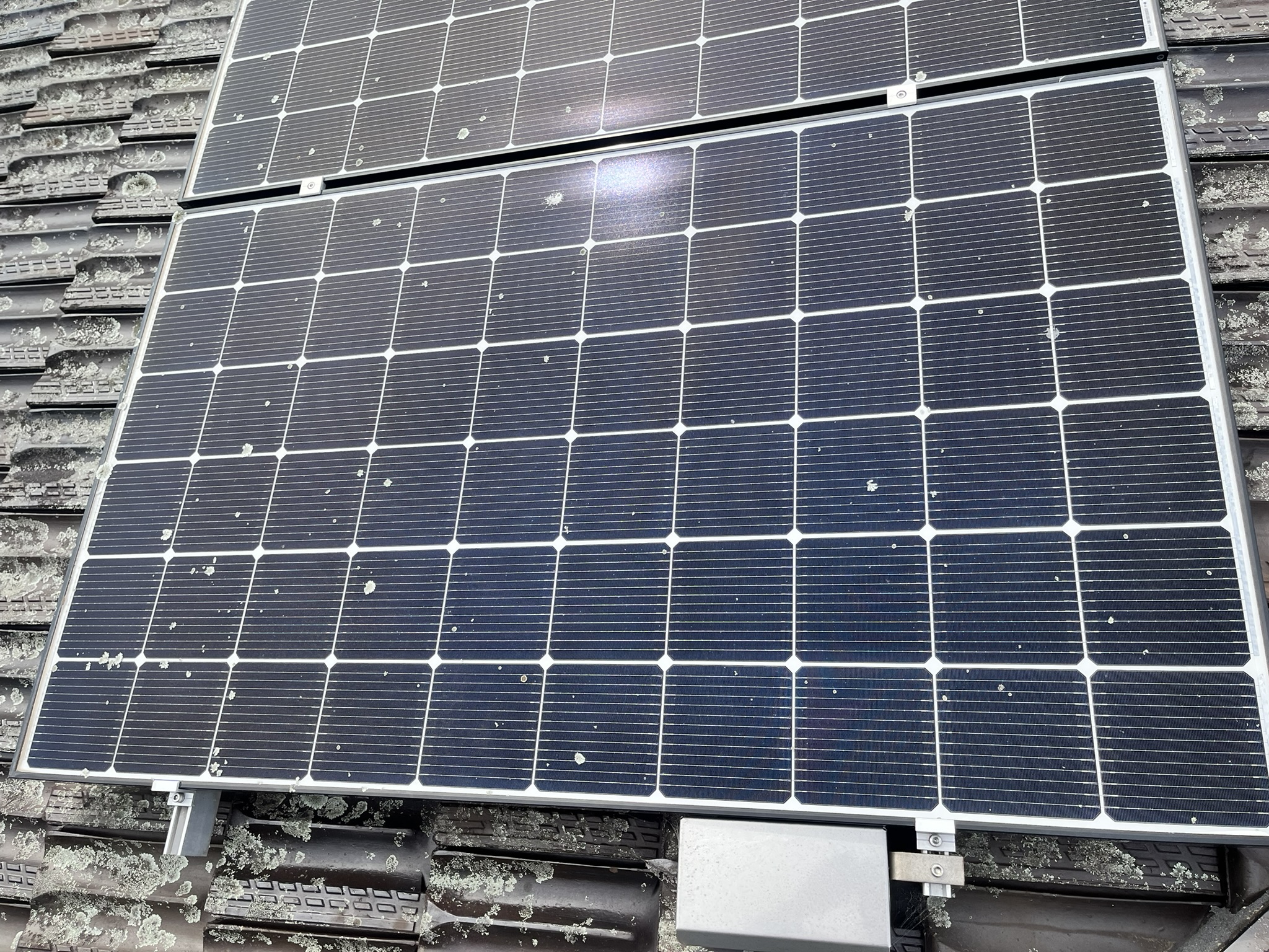 Residential Solar Installation in Russell Lea