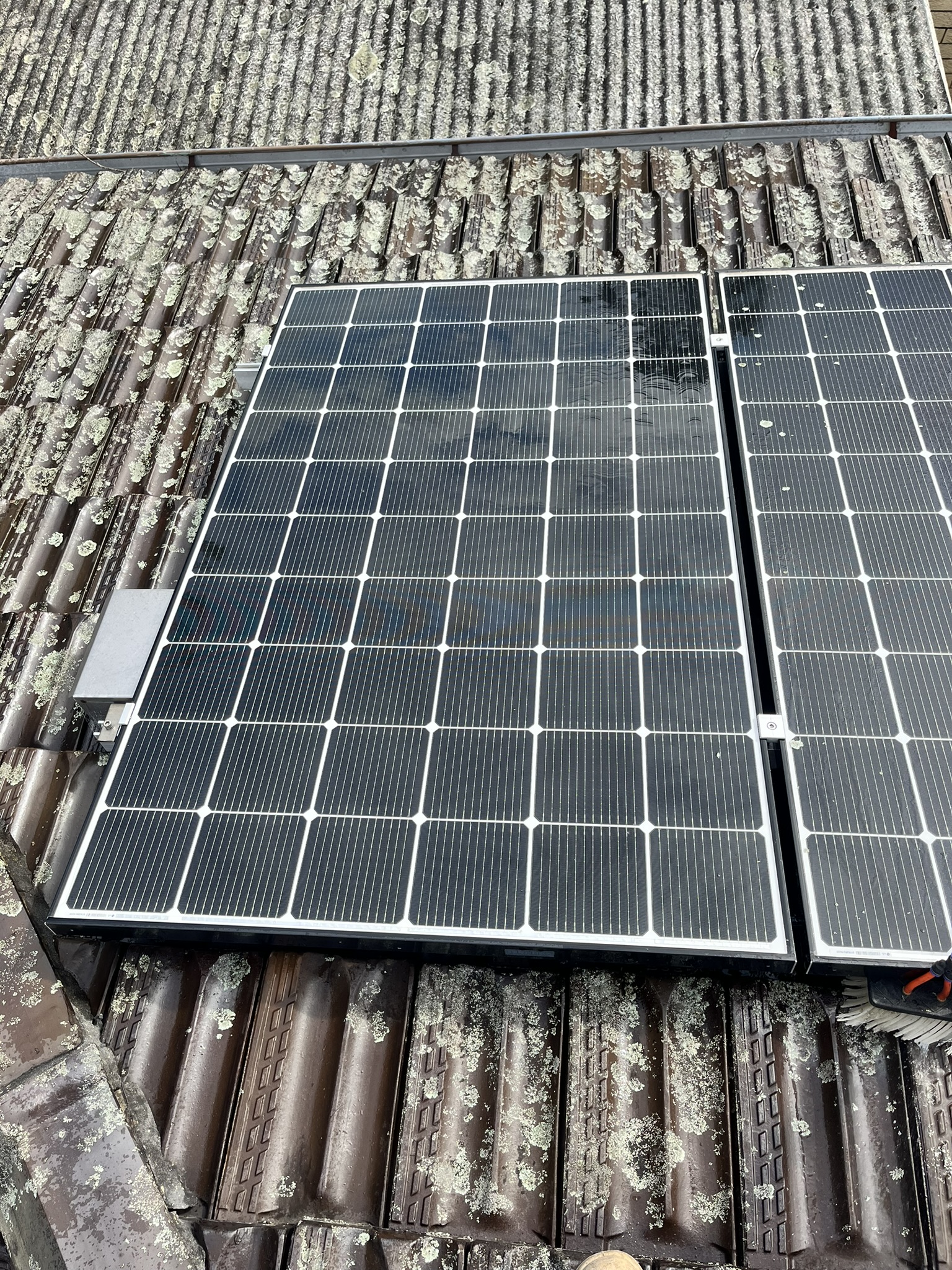 Residential Solar Installation in Russell Lea